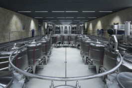  Neuer Gärkeller Kellerei Elena Walch