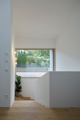  Neuer Gärkeller Kellerei Elena Walch