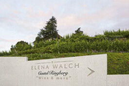  Neuer Gärkeller Kellerei Elena Walch