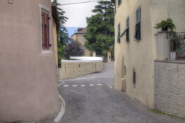 Neuer Gärkeller Kellerei Elena Walch