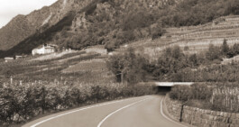 Neuer Gärkeller Kellerei Elena Walch