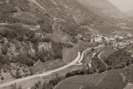  Neuer Gärkeller Kellerei Elena Walch