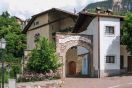  Neuer Gärkeller Kellerei Elena Walch