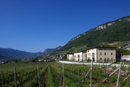  Neuer Gärkeller Kellerei Elena Walch