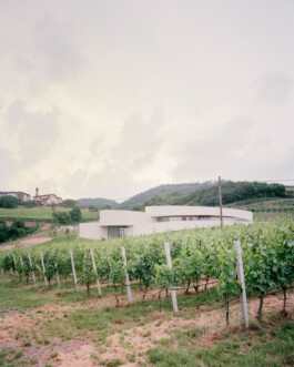 Moncalisse Neuer Gärkeller Kellerei Elena Walch