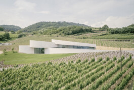 Moncalisse Neuer Gärkeller Kellerei Elena Walch