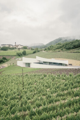 Moncalisse Neuer Gärkeller Kellerei Elena Walch